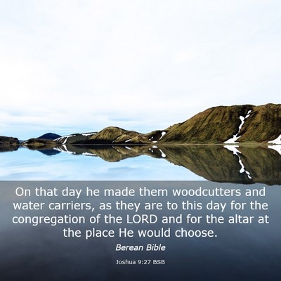 Picture 03 - Joshua 9:27 BSB - On that day he made them woodcutters and water - Bible Verse Picture