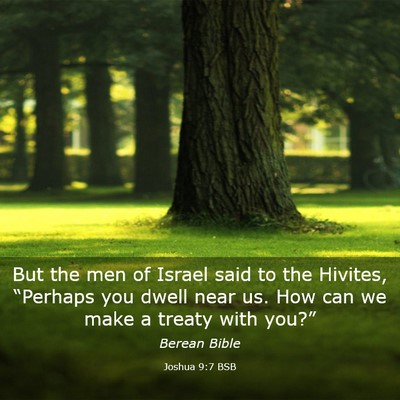 Picture 03 - Joshua 9:7 BSB - But the men of Israel said to the Hivites, - Bible Verse Picture