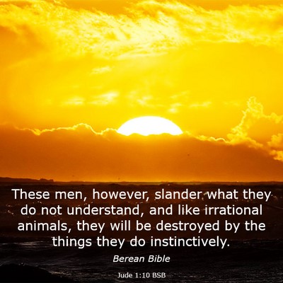 Picture 03 - Jude 1:10 BSB - These men, however, slander what they do not - Bible Verse Picture