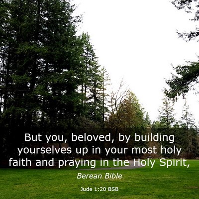 Picture 03 - Jude 1:20 BSB - But you, beloved, by building yourselves up in - Bible Verse Picture