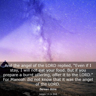 Picture 03 - Judges 13:16 BSB - And the angel of the LORD replied, “Even if I - Bible Verse Picture