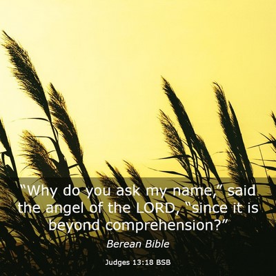 Picture 03 - Judges 13:18 BSB - “Why do you ask my name,” said the angel of - Bible Verse Picture