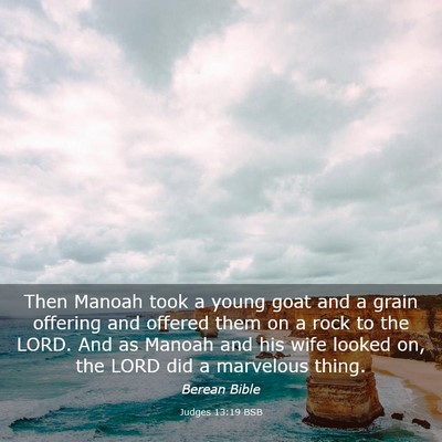 Picture 03 - Judges 13:19 BSB - Then Manoah took a young goat and a grain - Bible Verse Picture