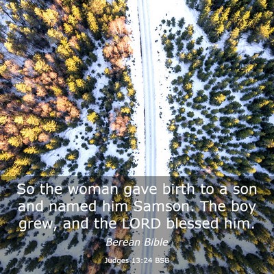 Picture 03 - Judges 13:24 BSB - So the woman gave birth to a son and named him - Bible Verse Picture