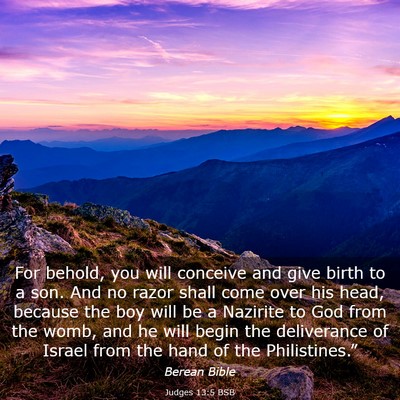 Picture 03 - Judges 13:5 BSB - For behold, you will conceive and give birth to a - Bible Verse Picture