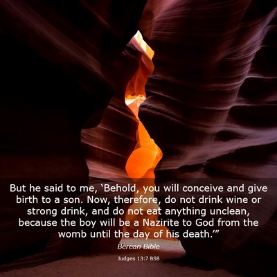 Picture 03 - Judges 13:7 BSB - But he said to me, ‘Behold, you will conceive - Bible Verse Picture