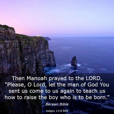 Picture 03 - Judges 13:8 BSB - Then Manoah prayed to the LORD, “Please, O - Bible Verse Picture