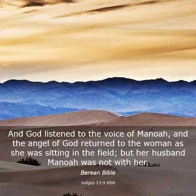 Picture 03 - Judges 13:9 BSB - And God listened to the voice of Manoah, and the - Bible Verse Picture