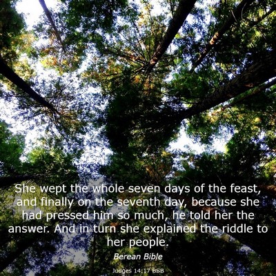 Picture 03 - Judges 14:17 BSB - She wept the whole seven days of the feast, and - Bible Verse Picture