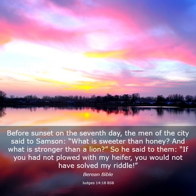Picture 03 - Judges 14:18 BSB - Before sunset on the seventh day, the men of the - Bible Verse Picture