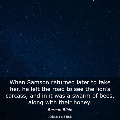 Picture 03 - Judges 14:8 BSB - When Samson returned later to take her, he left - Bible Verse Picture