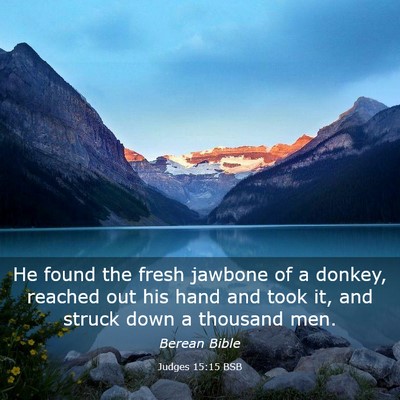 Picture 03 - Judges 15:15 BSB - He found the fresh jawbone of a donkey, reached - Bible Verse Picture
