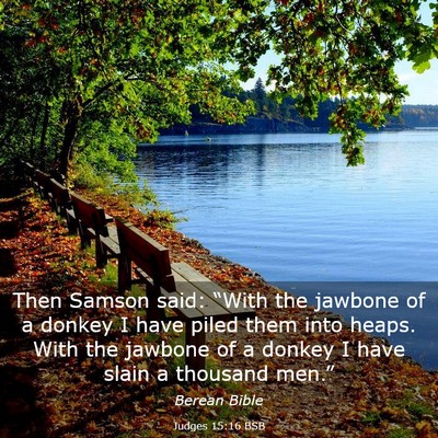 Picture 03 - Judges 15:16 BSB - Then Samson said: “With the jawbone of a donkey - Bible Verse Picture