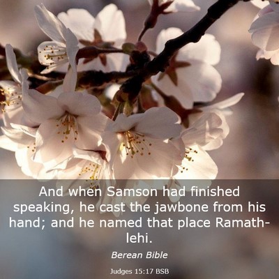 Picture 03 - Judges 15:17 BSB - And when Samson had finished speaking, he cast - Bible Verse Picture
