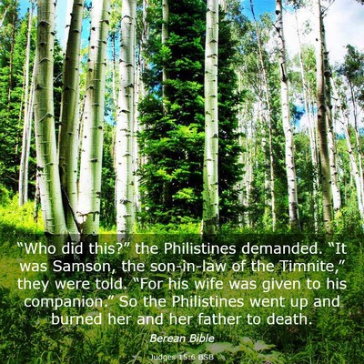 Picture 03 - Judges 15:6 BSB - “Who did this?” the Philistines demanded. - Bible Verse Picture