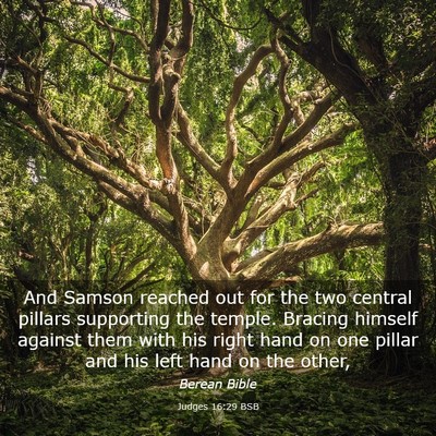Picture 03 - Judges 16:29 BSB - And Samson reached out for the two central - Bible Verse Picture