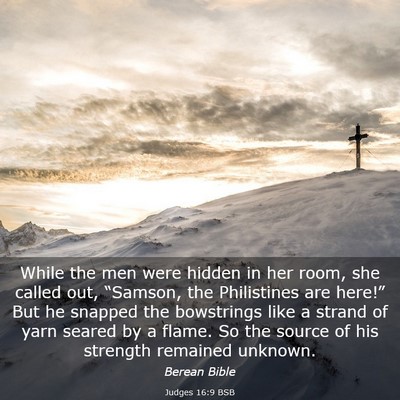 Picture 03 - Judges 16:9 BSB - While the men were hidden in her room, she called - Bible Verse Picture