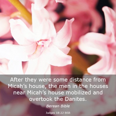 Picture 03 - Judges 18:22 BSB - After they were some distance from Micah’s - Bible Verse Picture