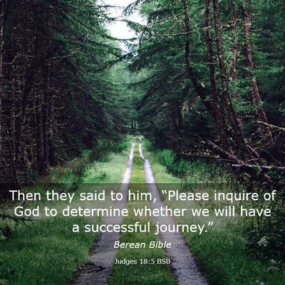 Picture 03 - Judges 18:5 BSB - Then they said to him, “Please inquire of God - Bible Verse Picture