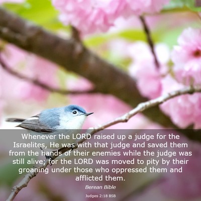 Picture 03 - Judges 2:18 BSB - Whenever the LORD raised up a judge for the - Bible Verse Picture