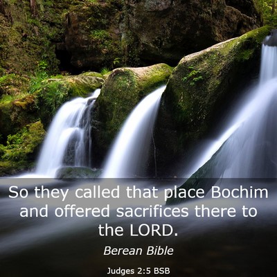 Picture 03 - Judges 2:5 BSB - So they called that place Bochim and offered - Bible Verse Picture