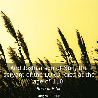 Picture 03 - Judges 2:8 BSB - And Joshua son of Nun, the servant of the LORD, - Bible Verse Picture
