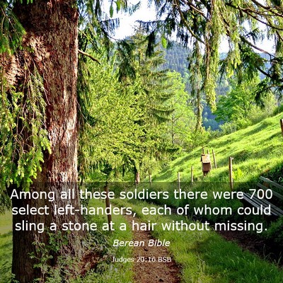 Picture 03 - Judges 20:16 BSB - Among all these soldiers there were 700 select - Bible Verse Picture
