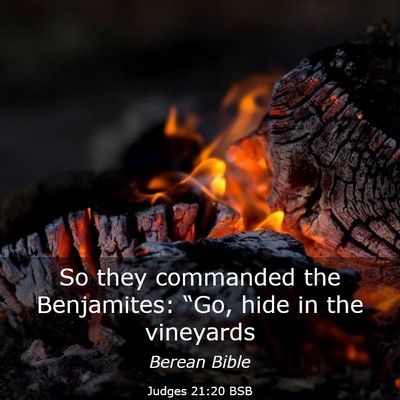 Picture 03 - Judges 21:20 BSB - So they commanded the Benjamites: “Go, hide in - Bible Verse Picture