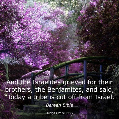 Picture 03 - Judges 21:6 BSB - And the Israelites grieved for their brothers, - Bible Verse Picture