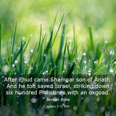 Picture 03 - Judges 3:31 BSB - After Ehud came Shamgar son of Anath. And he too - Bible Verse Picture