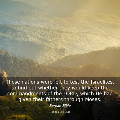 Picture 03 - Judges 3:4 BSB - These nations were left to test the Israelites, - Bible Verse Picture