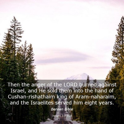 Picture 03 - Judges 3:8 BSB - Then the anger of the LORD burned against Israel, - Bible Verse Picture
