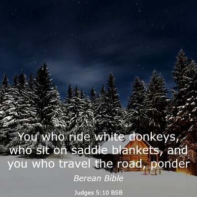 Picture 03 - Judges 5:10 BSB - You who ride white donkeys, who sit on saddle - Bible Verse Picture