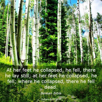 Picture 03 - Judges 5:27 BSB - At her feet he collapsed, he fell, there he lay - Bible Verse Picture