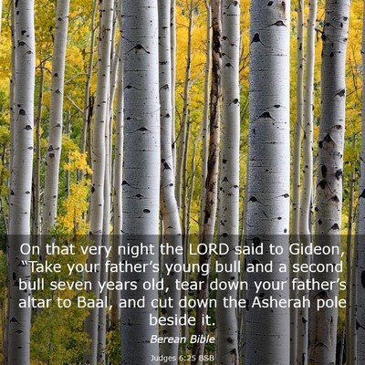 Picture 03 - Judges 6:25 BSB - On that very night the LORD said to Gideon, - Bible Verse Picture