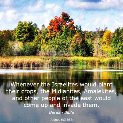 Picture 03 - Judges 6:3 BSB - Whenever the Israelites would plant their crops, - Bible Verse Picture