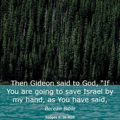 Picture 03 - Judges 6:36 BSB - Then Gideon said to God, “If You are going to - Bible Verse Picture