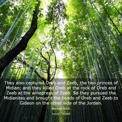 Picture 03 - Judges 7:25 BSB - They also captured Oreb and Zeeb, the two princes - Bible Verse Picture