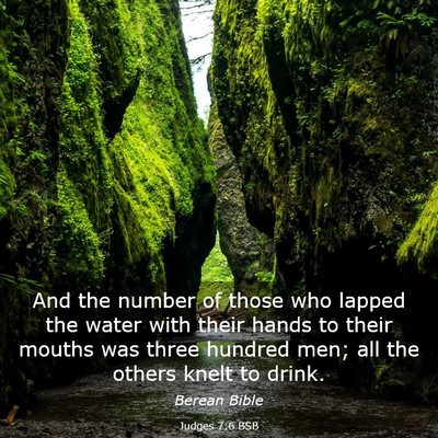 Picture 03 - Judges 7:6 BSB - And the number of those who lapped the water with - Bible Verse Picture