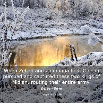Picture 03 - Judges 8:12 BSB - When Zebah and Zalmunna fled, Gideon pursued and - Bible Verse Picture