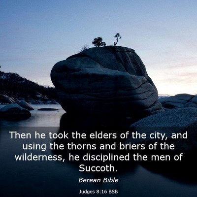 Picture 03 - Judges 8:16 BSB - Then he took the elders of the city, and using - Bible Verse Picture