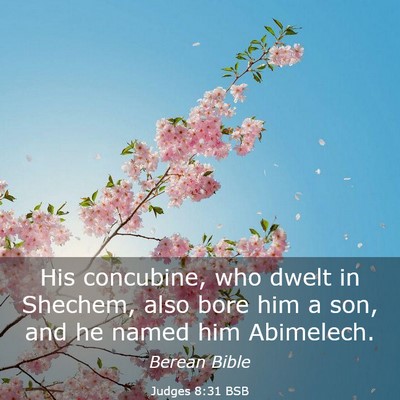 Picture 03 - Judges 8:31 BSB - His concubine, who dwelt in Shechem, also bore - Bible Verse Picture
