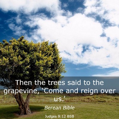 Picture 03 - Judges 9:12 BSB - Then the trees said to the grapevine, ‘Come and - Bible Verse Picture