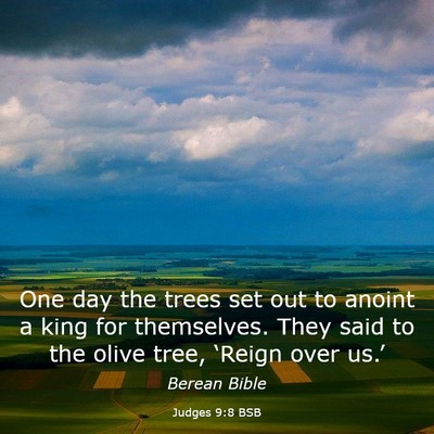 Picture 03 - Judges 9:8 BSB - One day the trees set out to anoint a king for - Bible Verse Picture