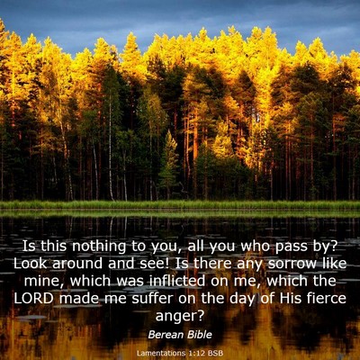 Picture 03 - Lamentations 1:12 BSB - Is this nothing to you, all you who pass by? Look - Bible Verse Picture