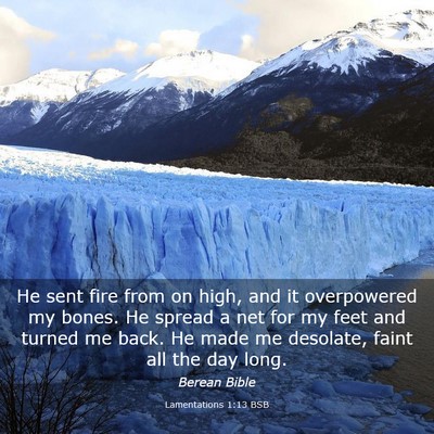 Picture 03 - Lamentations 1:13 BSB - He sent fire from on high, and it overpowered my - Bible Verse Picture
