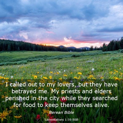Picture 03 - Lamentations 1:19 BSB - I called out to my lovers, but they have betrayed - Bible Verse Picture