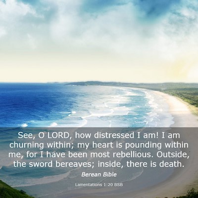 Picture 03 - Lamentations 1:20 BSB - See, O LORD, how distressed I am! I am churning - Bible Verse Picture