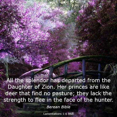 Picture 03 - Lamentations 1:6 BSB - All the splendor has departed from the Daughter - Bible Verse Picture