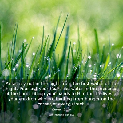 Picture 03 - Lamentations 2:19 BSB - Arise, cry out in the night from the first watch - Bible Verse Picture